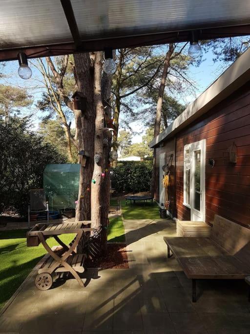 3 Bedroom Chalet On Camping Gt Balen 외부 사진